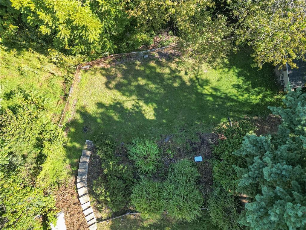 67 Ridge Road Pittsburgh, PA 15221 - Photo 31 of 37 a view of a tree in a garden