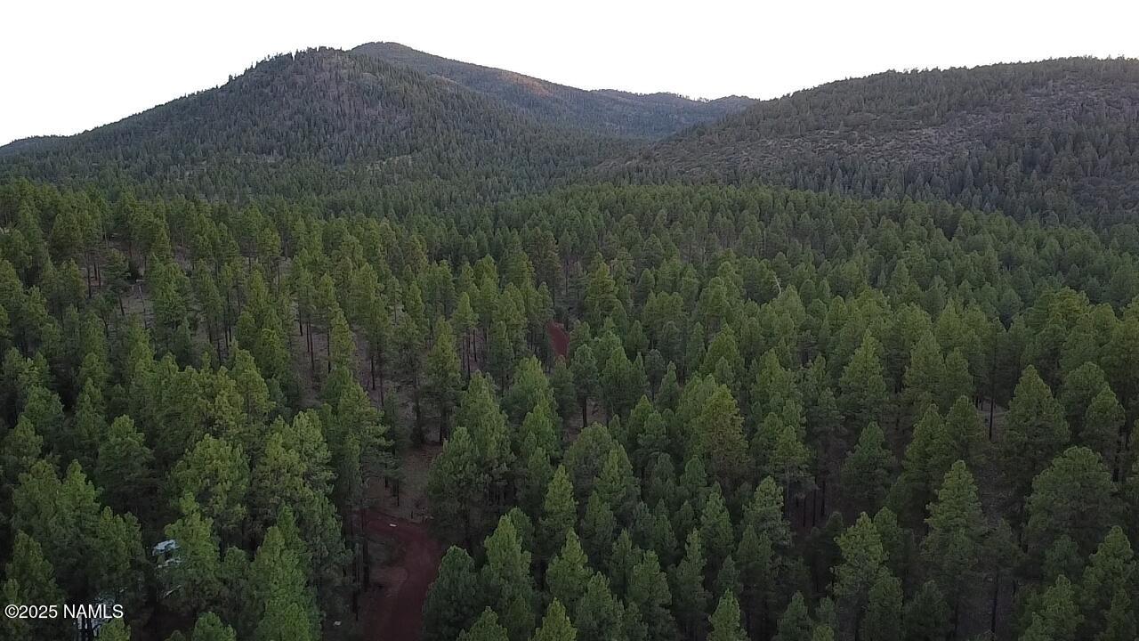 155 East Ski Run Road Williams, AZ 86046 - Photo 11 of 15 a view of a mountain and a mountain view
