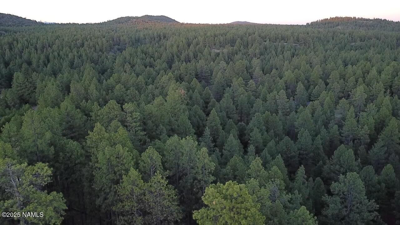 155 East Ski Run Road Williams, AZ 86046 - Photo 12 of 15 a view of a valley with a mountain