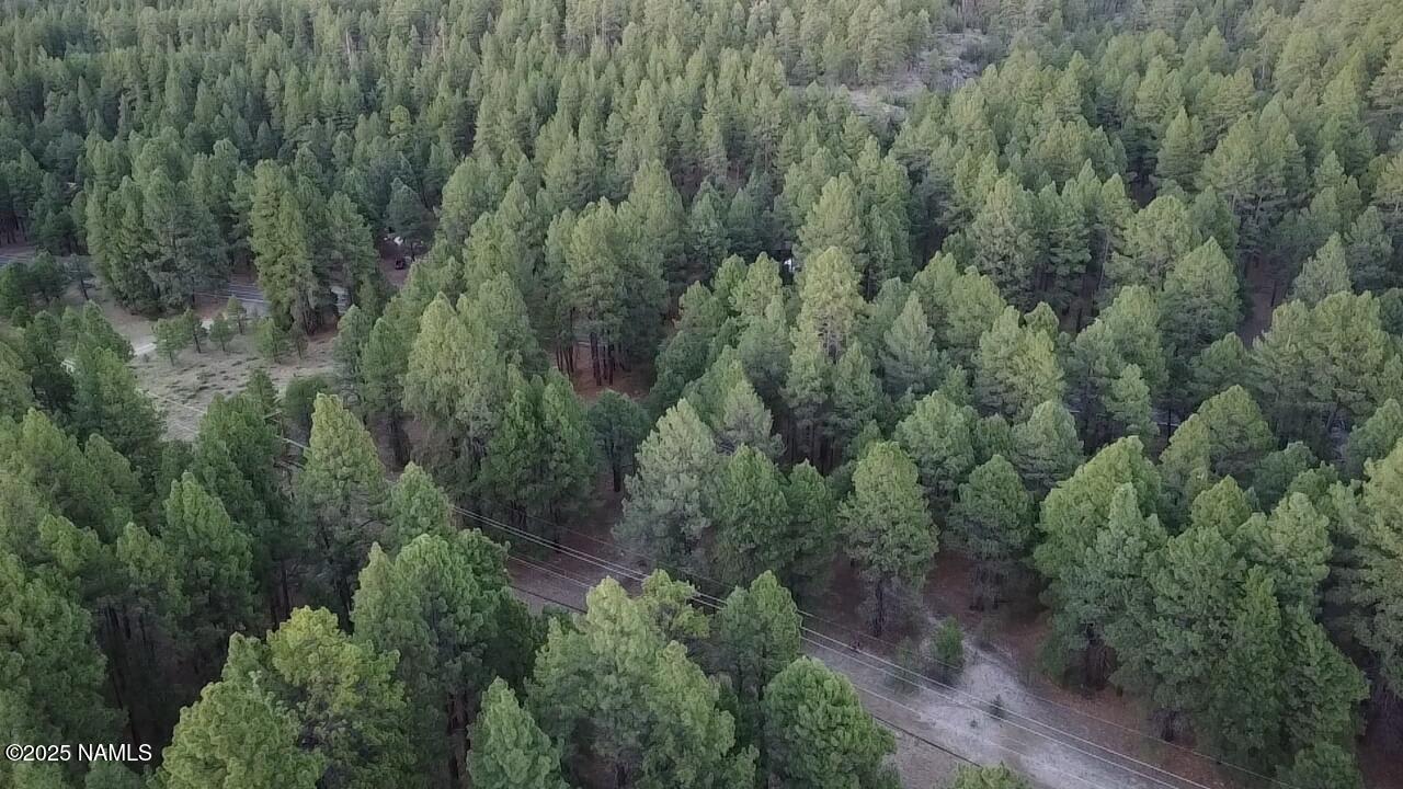 155 East Ski Run Road Williams, AZ 86046 - Photo 13 of 15 a view of a forest with a street