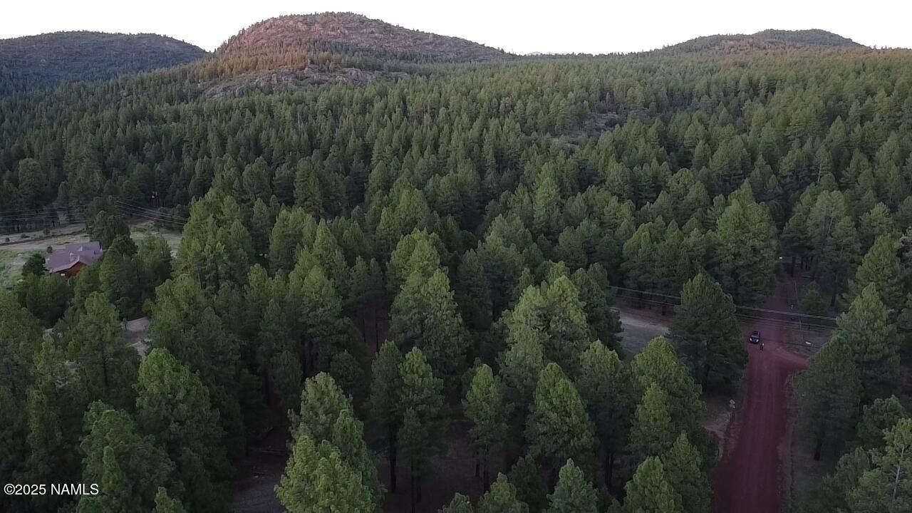 155 East Ski Run Road Williams, AZ 86046 - Photo 3 of 15 a view of a lush green forest with a street
