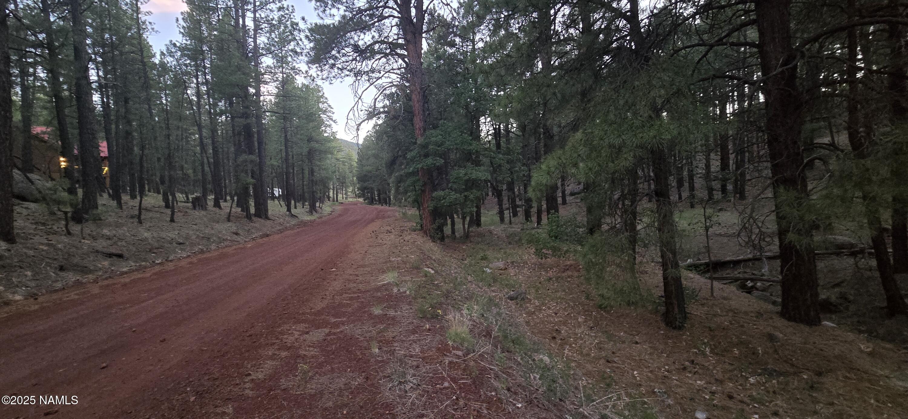 155 East Ski Run Road Williams, AZ 86046 - Photo 7 of 15 a view of a forest with trees in the background