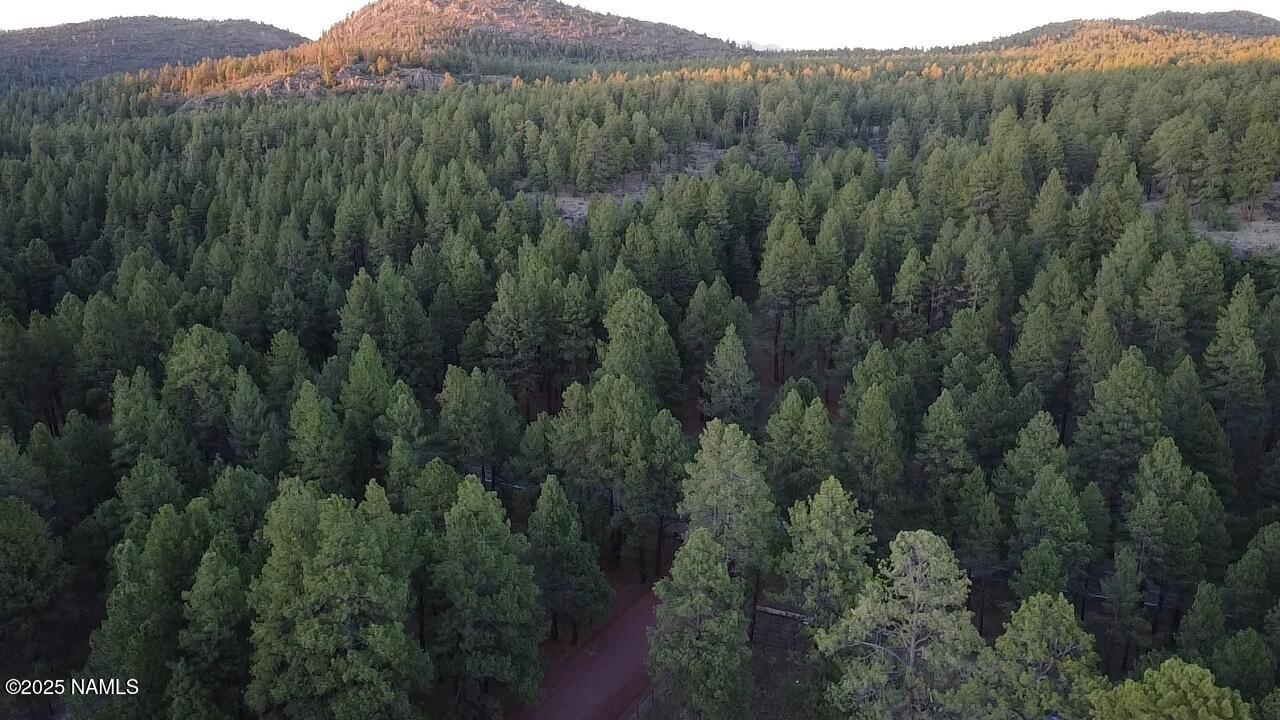 155 East Ski Run Road Williams, AZ 86046 - Photo 8 of 15 a view of a lush green forest with mountains and valleys