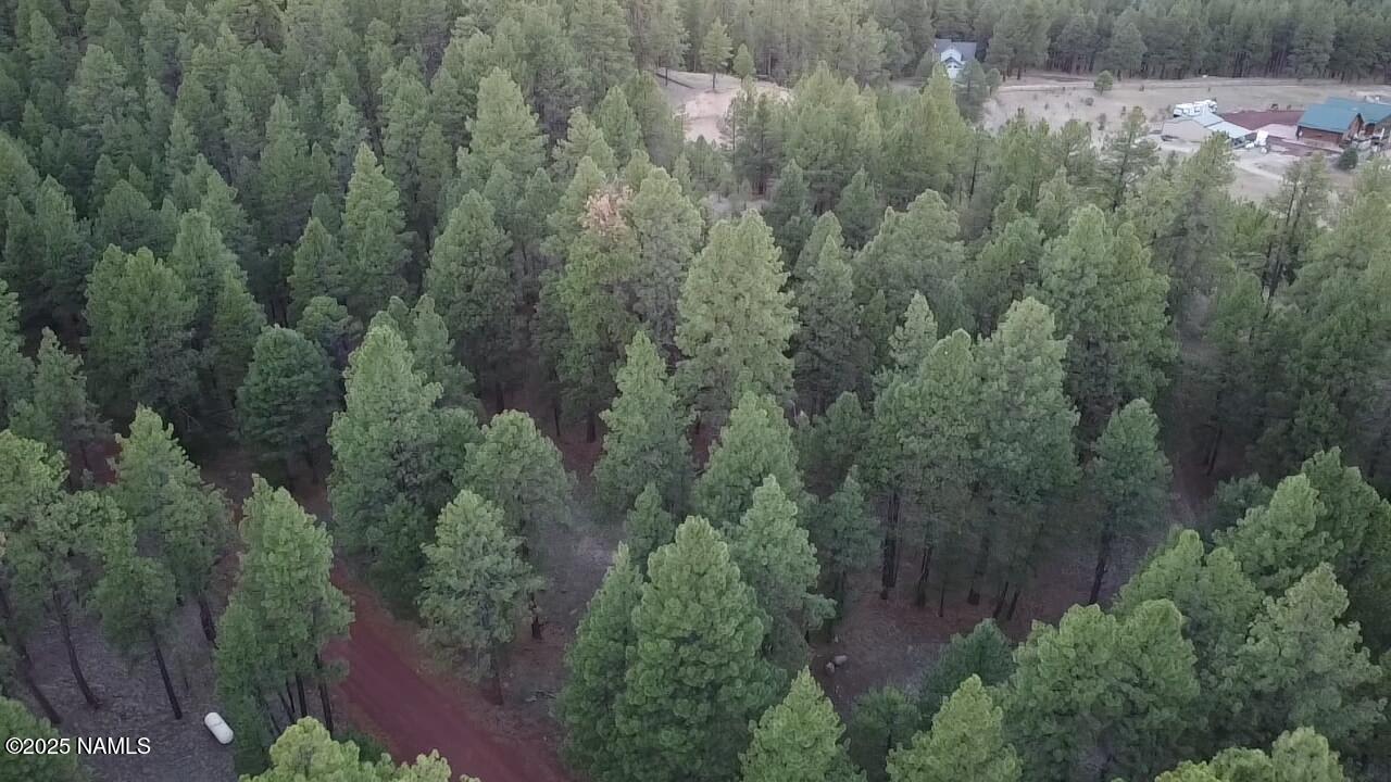 155 East Ski Run Road Williams, AZ 86046 - Photo 9 of 15 a view of a forest with a street