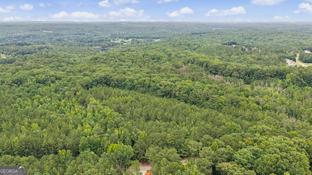 0 Cedar Grove Road Fairburn, GA 30213 - Photo 3 of 5 a view of a city