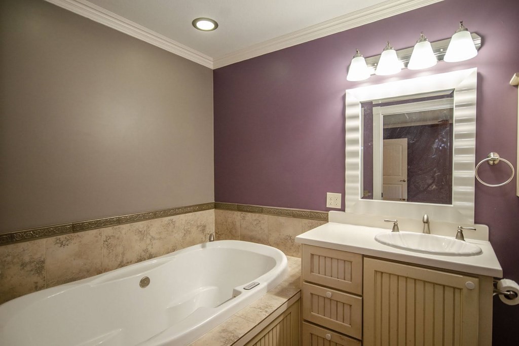 767 Lane Hollow Road Sevierville, TN 37876 - Photo 17 of 31 a bathroom with a sink and a bathtub
