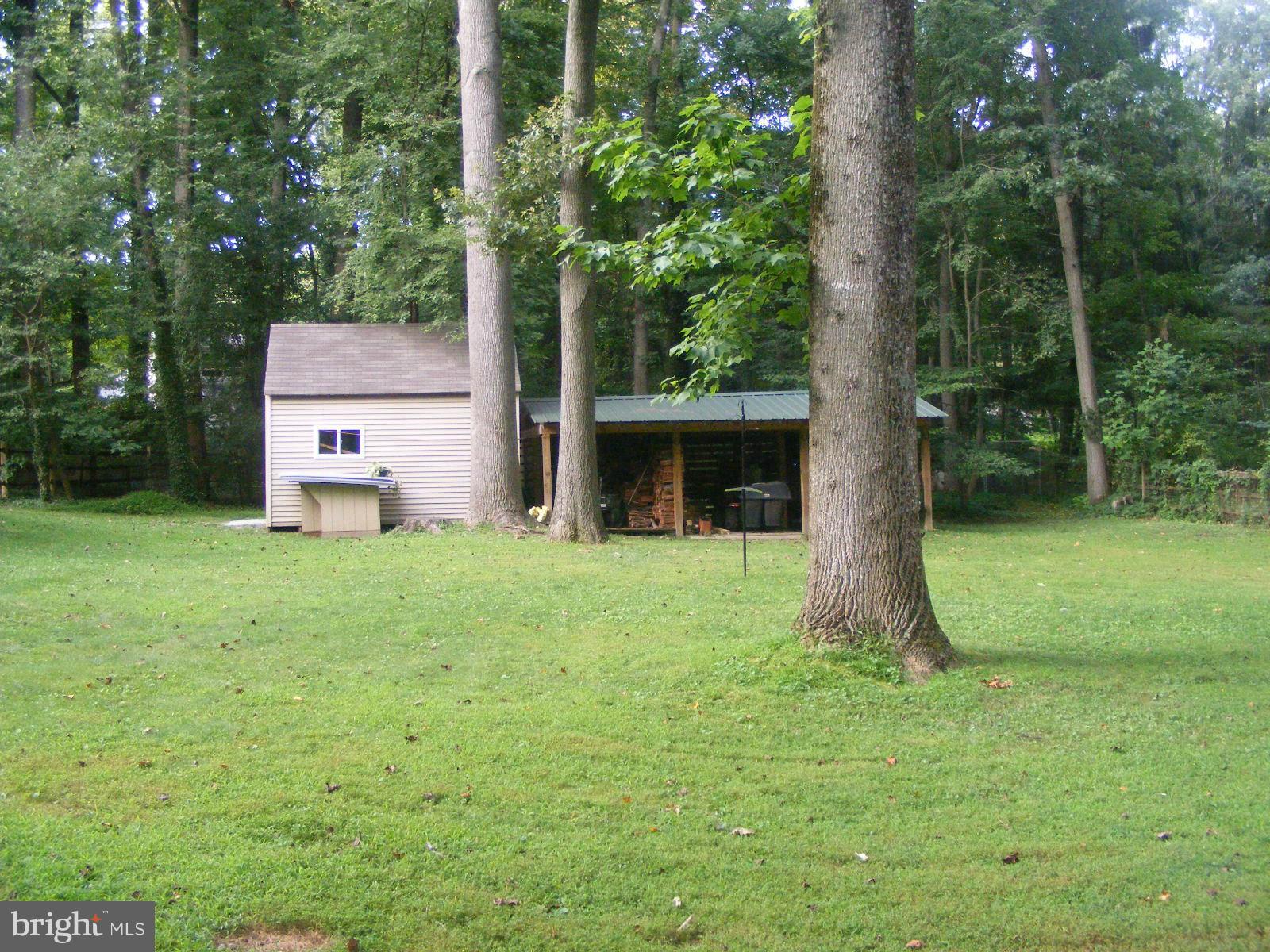 6 Atkinson Circle Elkton, MD 21921 - Photo 6 of 30 Back yard & sheds