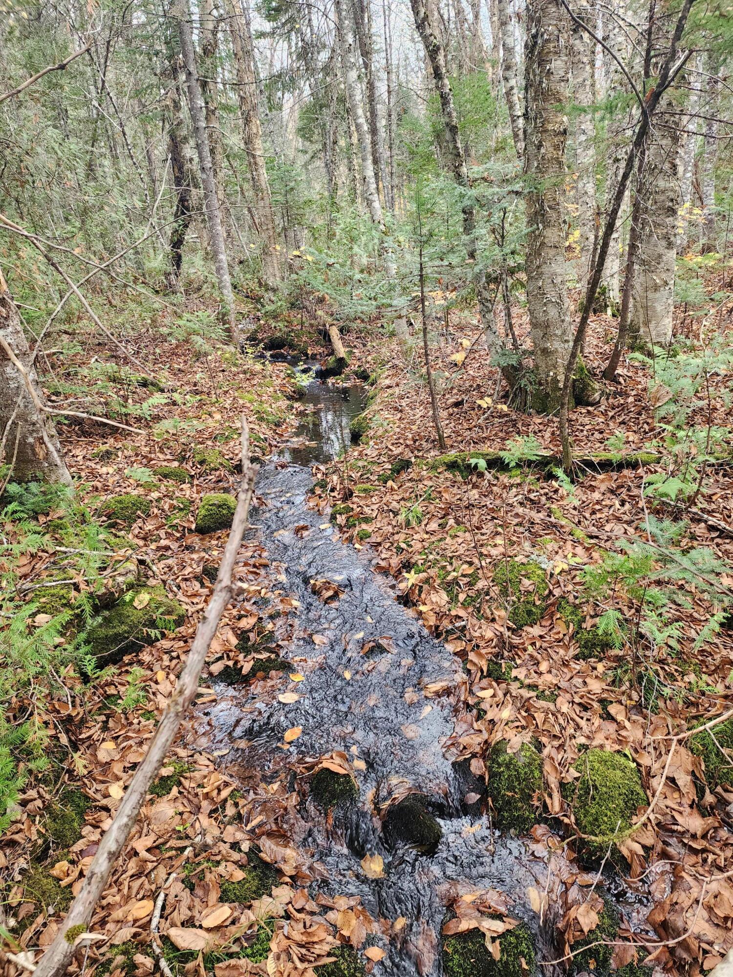 0 Davis Brook Road Amity, ME 04471 - Photo 5 of 5 20231019_151133