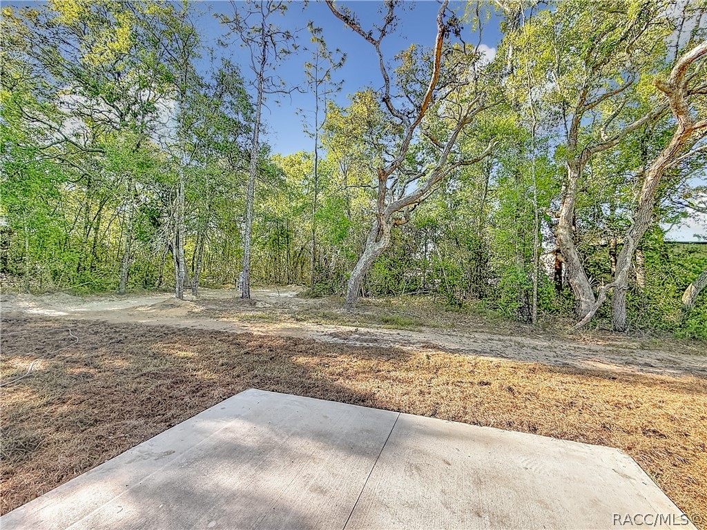 3276 East Pierce Street Inverness, FL 34453 - Photo 42 of 56