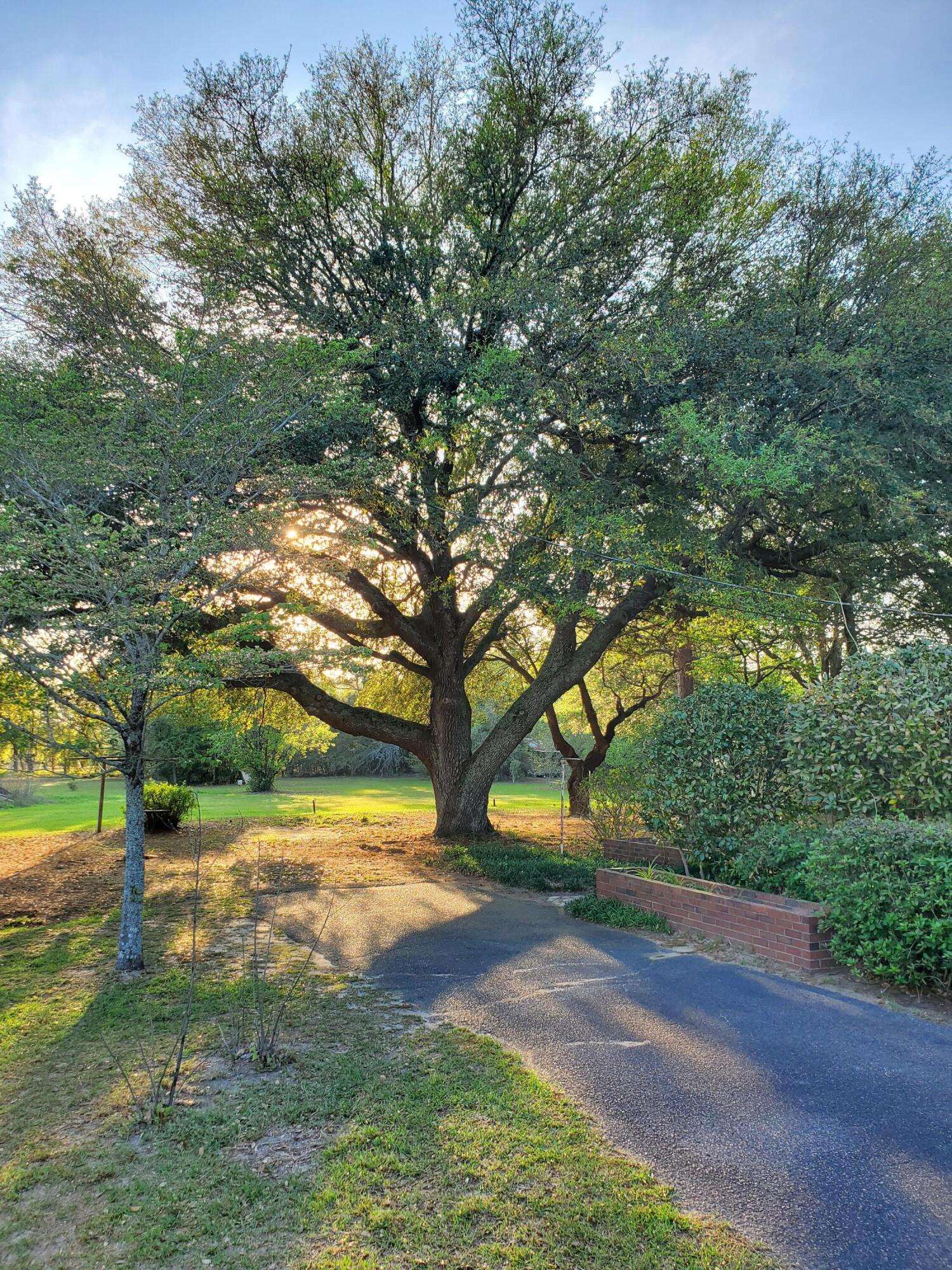 2481 Piper Road Aiken, SC 29805 - Photo 8 of 33