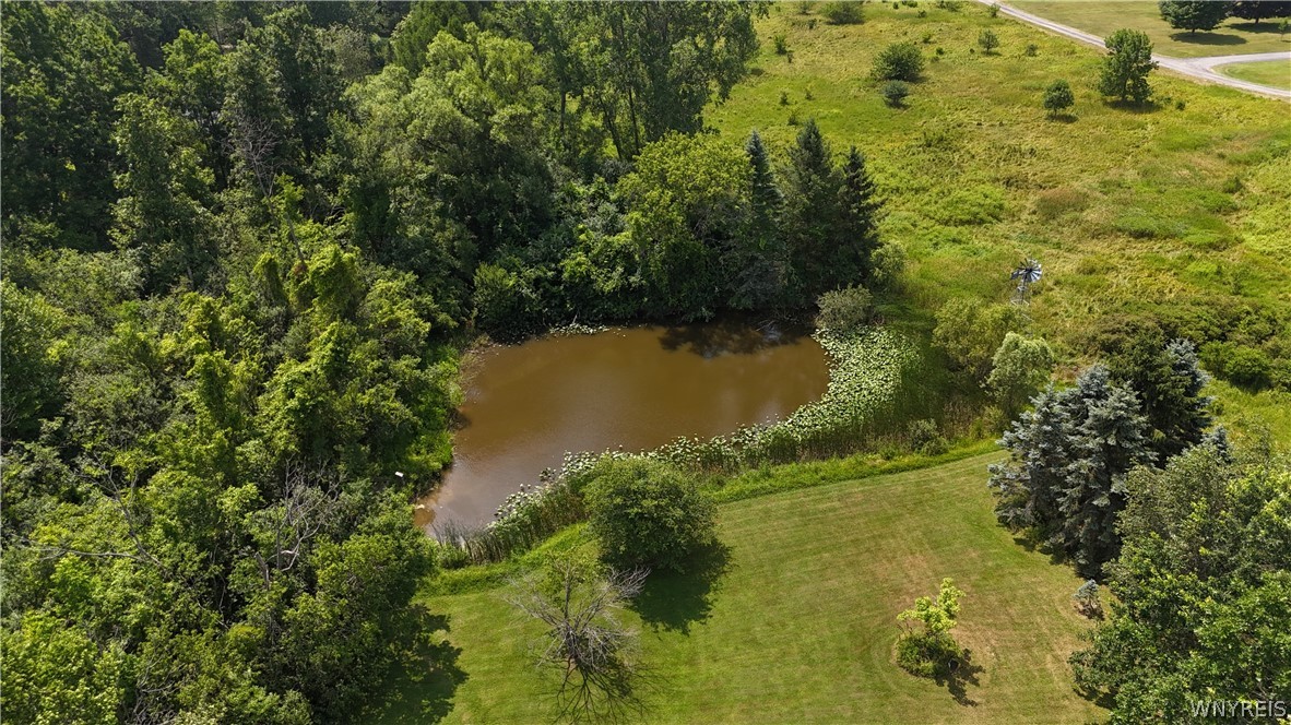 1481 Quaker Road Orchard Park, NY 14127 - Photo 9 of 48 Gallery Image 9
