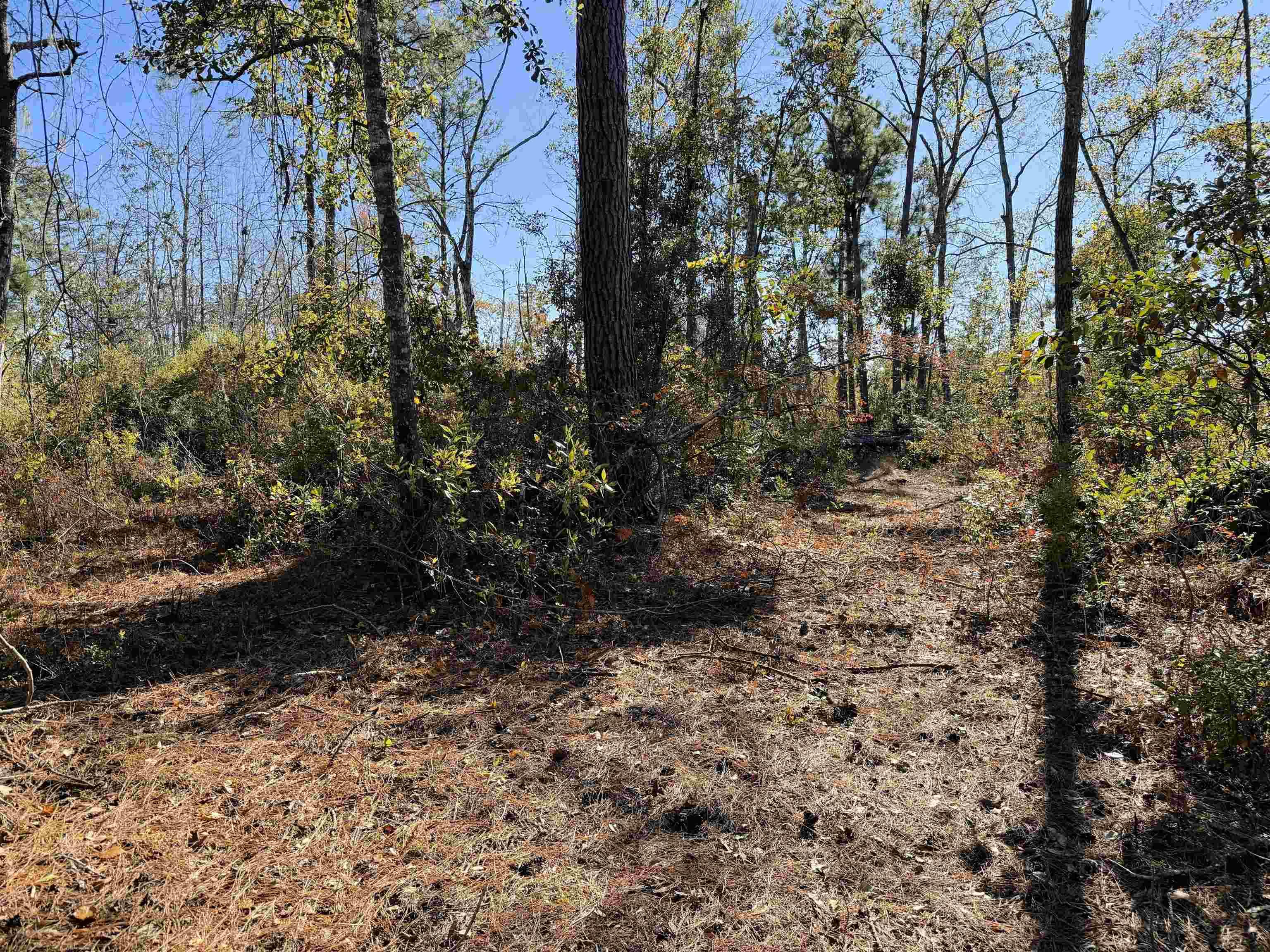 5000 Northwest Little Cat Road Madison, FL 32340 - Photo 21 of 24