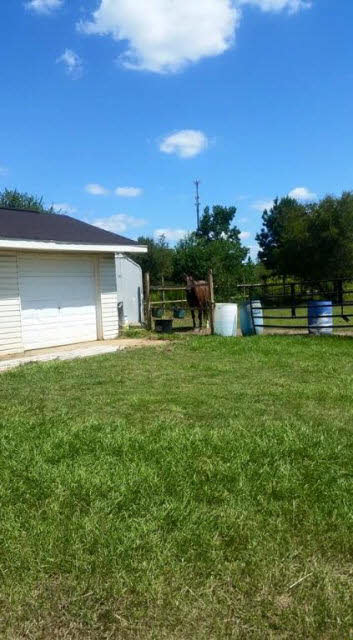 14143 Baptist Ball Park Road Stapleton, AL 36578 - Photo 8 of 21
