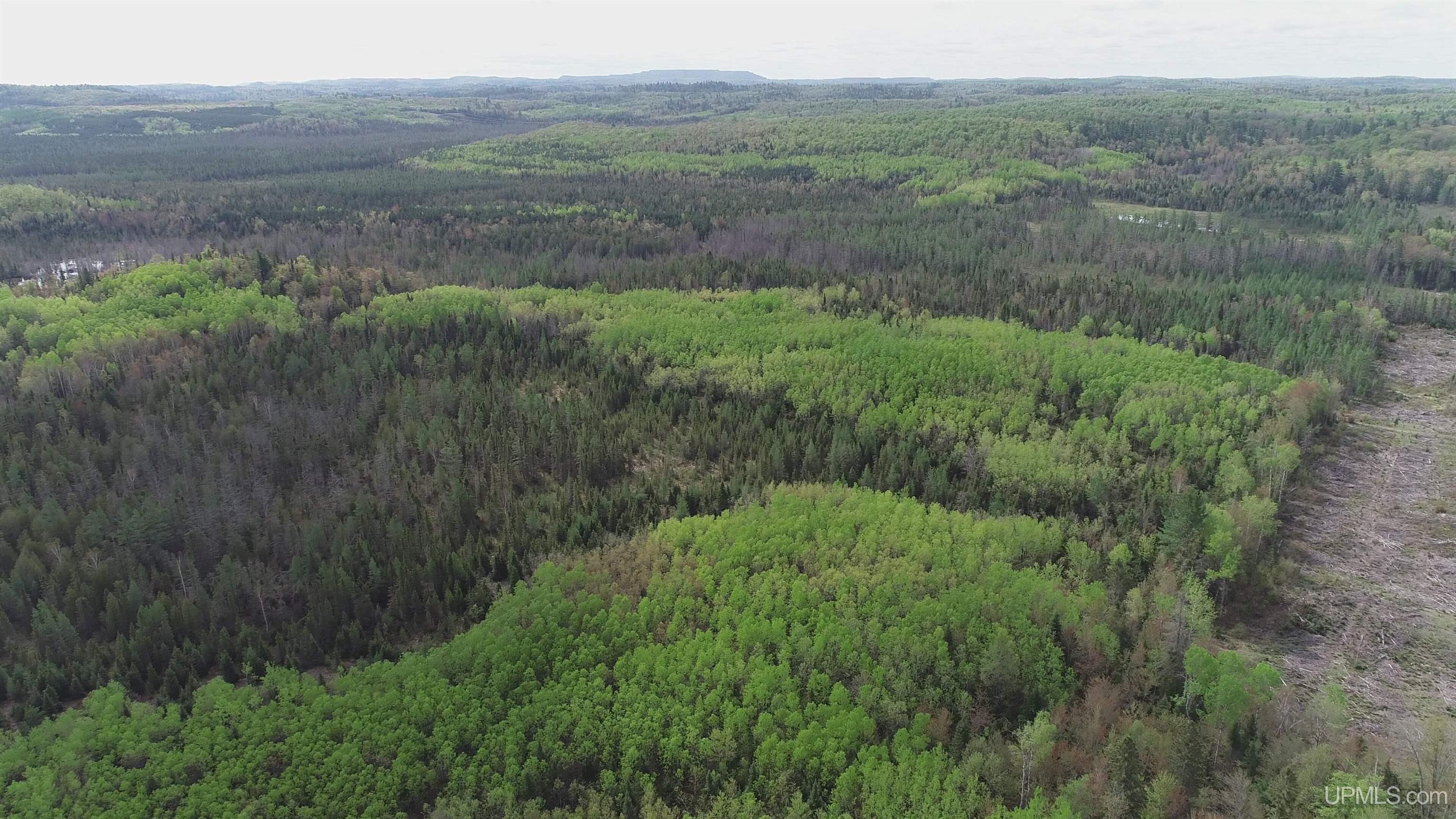 280-acres County Road CCN Road Negaunee, MI 49866 - Photo 46 of 48