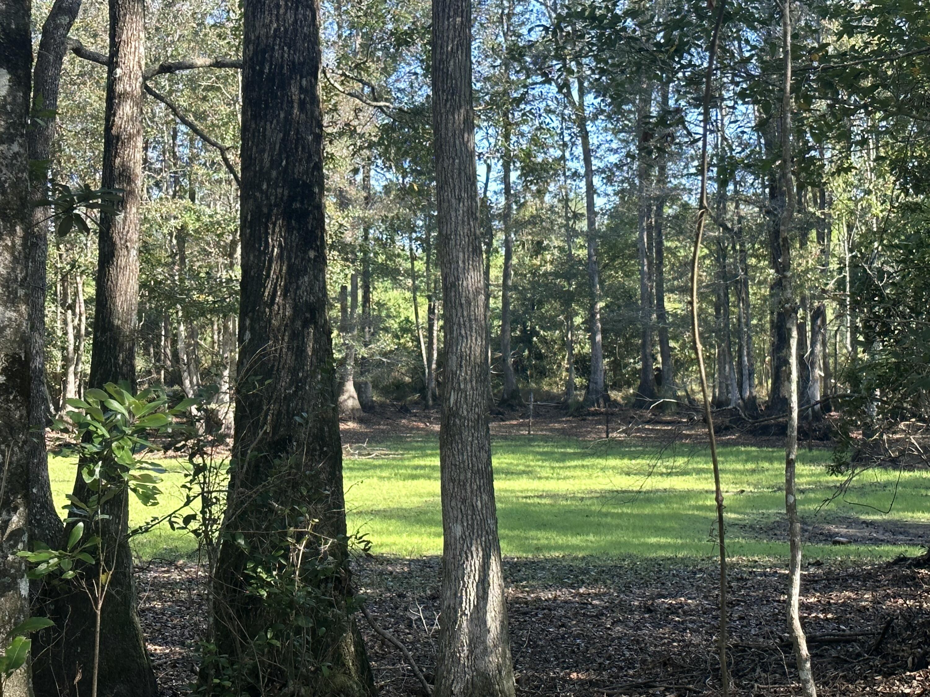 Parcel E Millside Road Laurel Hill, FL 32567 - Photo 14 of 15 a view of a park with large trees
