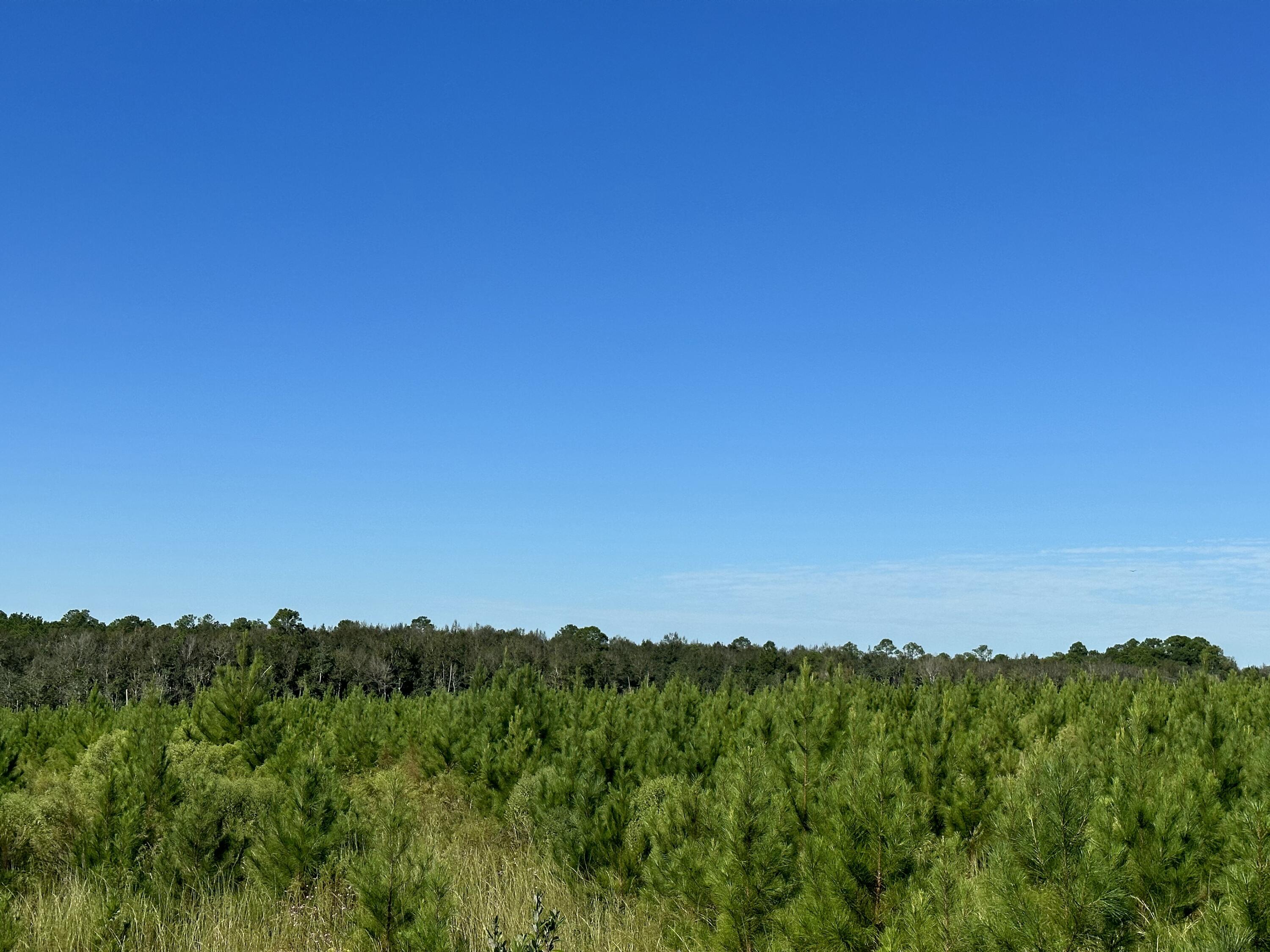 Parcel E Millside Road Laurel Hill, FL 32567 - Photo 9 of 15 a view of a city with lush green forest