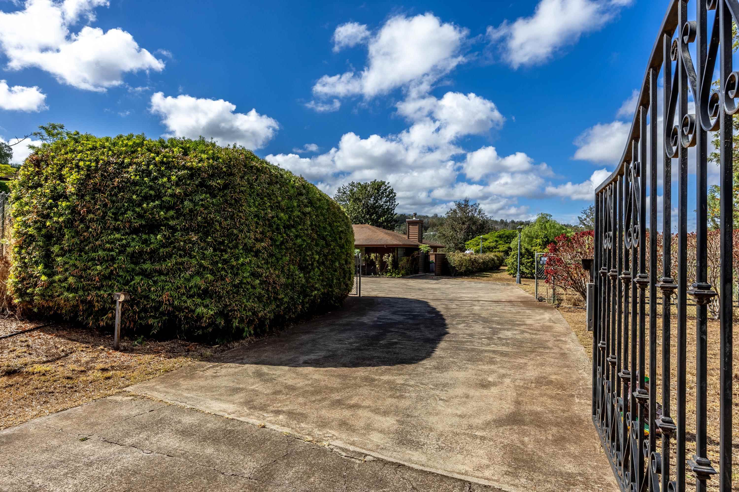 128 Hoopalua Drive Makawao, HI 96768 - Photo 3 of 50 a view of a yard with an outdoor space