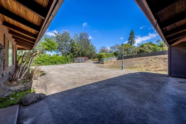 a view of a backyard with a tree