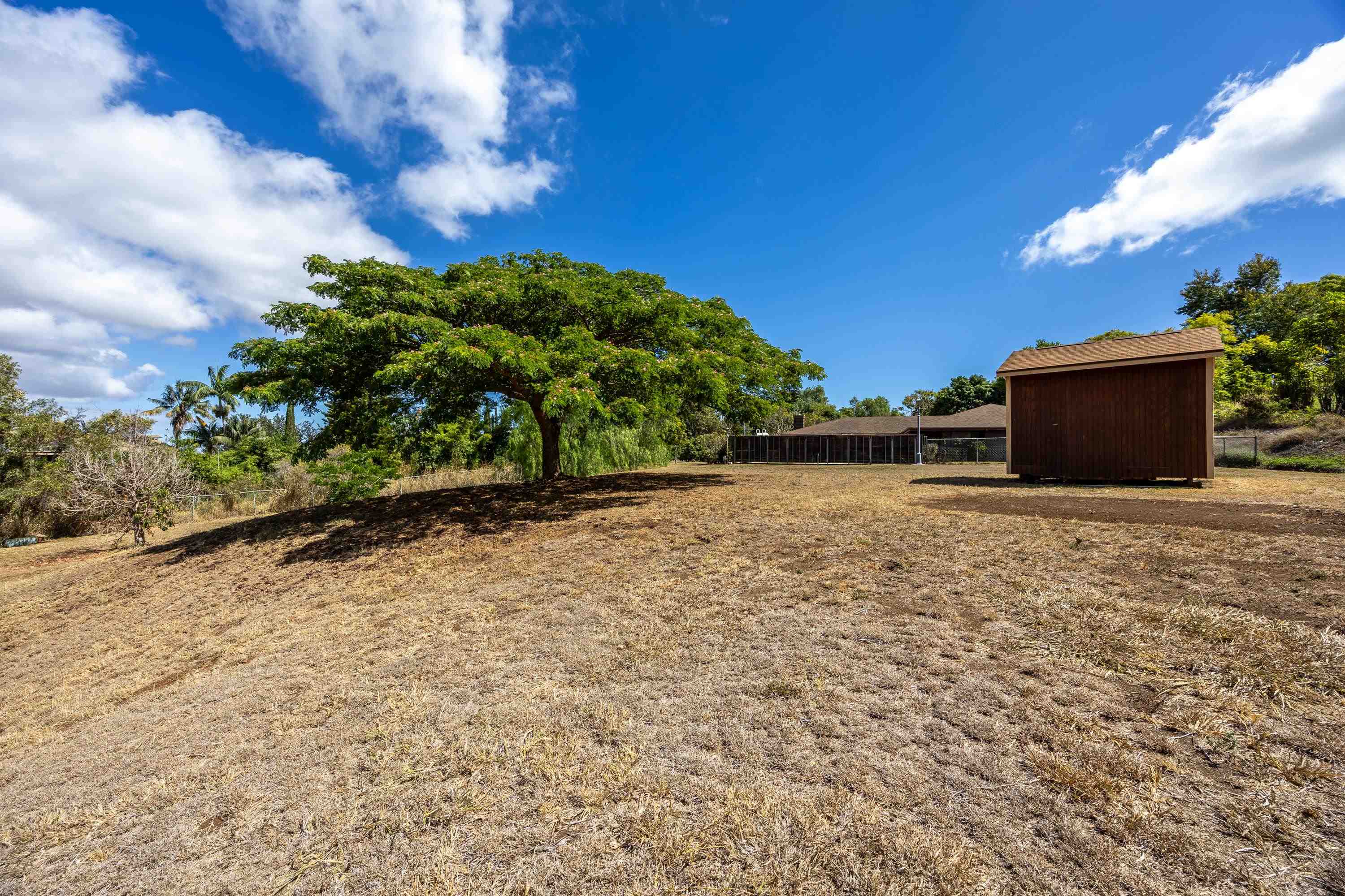 128 Hoopalua Drive Makawao, HI 96768 - Photo 41 of 50 a view of a garden with an outdoor space