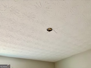 6460 Connell Road Atlanta, GA 30349 - Photo 17 of 21 a close up of a white marble wall