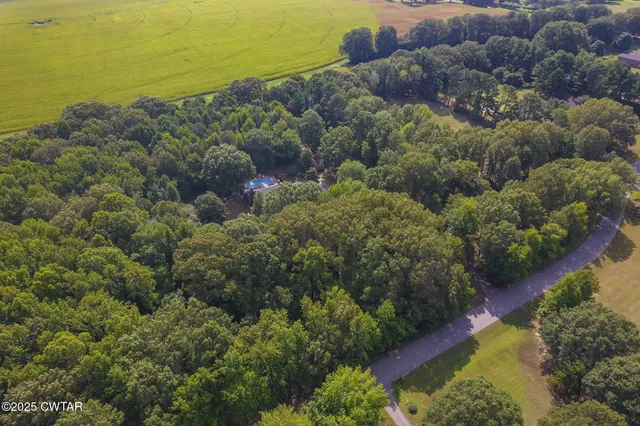 a view of a forest with a houses