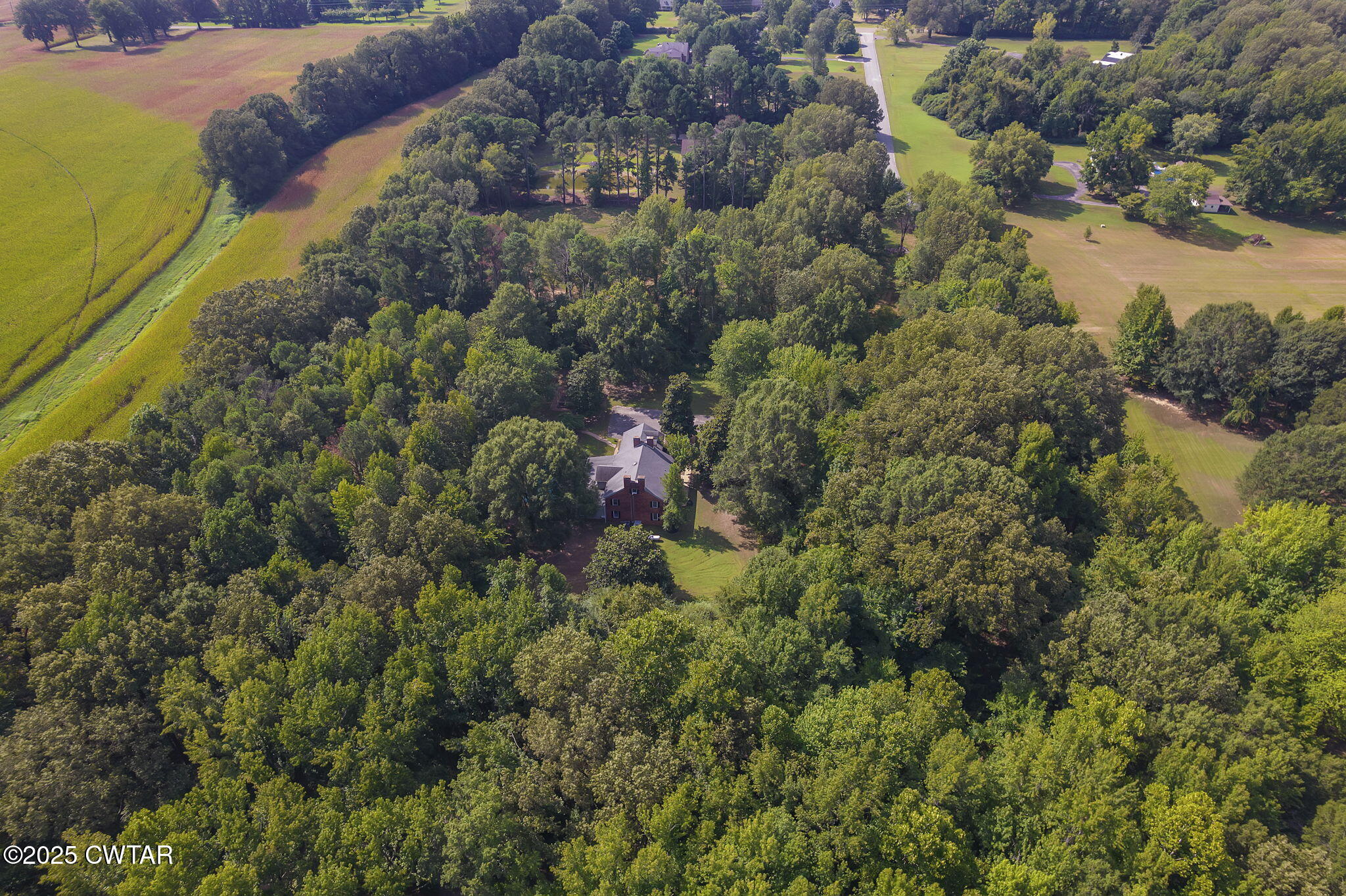 114 Old Stage Road Jackson, TN 38305 - Photo 45 of 50 a view of a forest with a houses