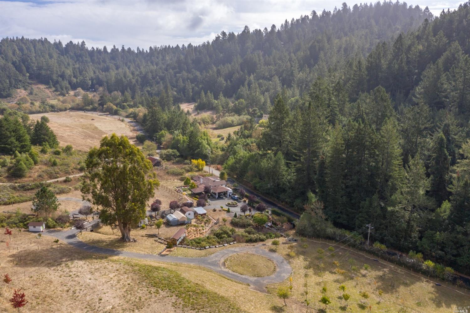 18080 Coleman Valley Road Occidental, CA 95465 - Photo 1 of 1 Welcome to 18080 Coleman Valley Road: View looking east from the top of the property overlooking the house.