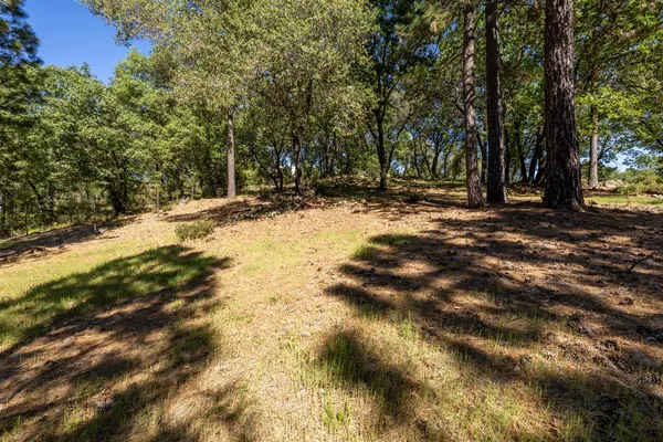 $475,000 | 1235 Forest View Drive, Meadow Vista, CA 95722