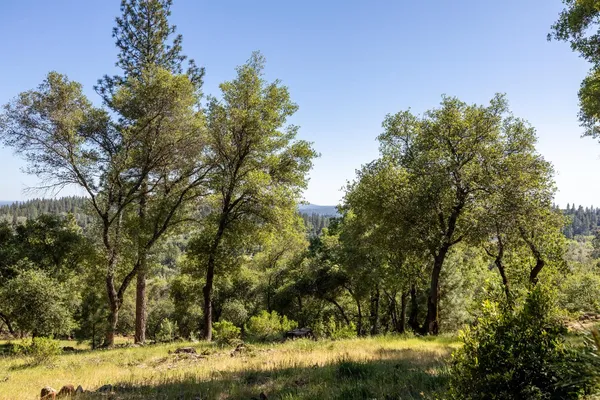 $475,000 | 1235 Forest View Drive, Meadow Vista, CA 95722