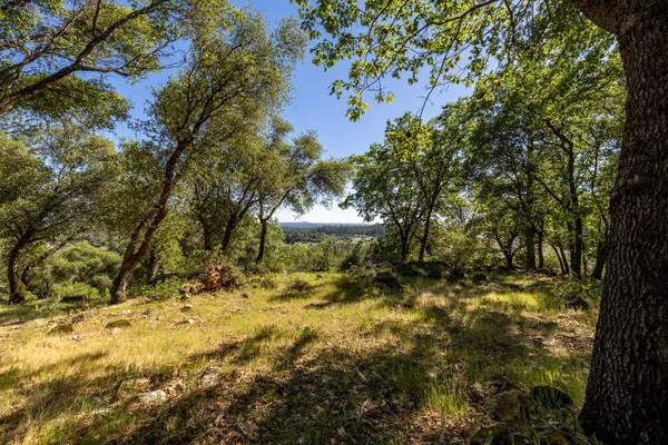 $475,000 | 1235 Forest View Drive, Meadow Vista, CA 95722