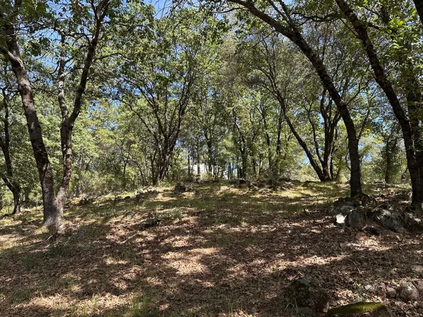 $475,000 | 1235 Forest View Drive, Meadow Vista, CA 95722