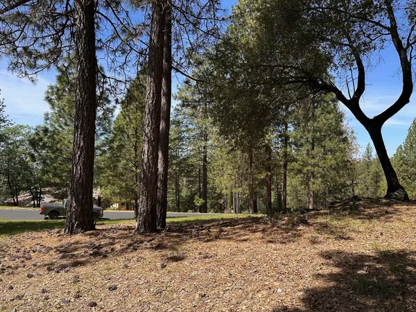 $475,000 | 1235 Forest View Drive, Meadow Vista, CA 95722