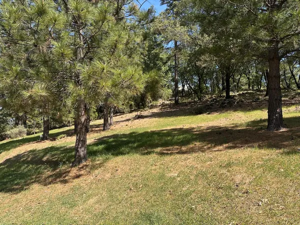 $475,000 | 1235 Forest View Drive, Meadow Vista, CA 95722