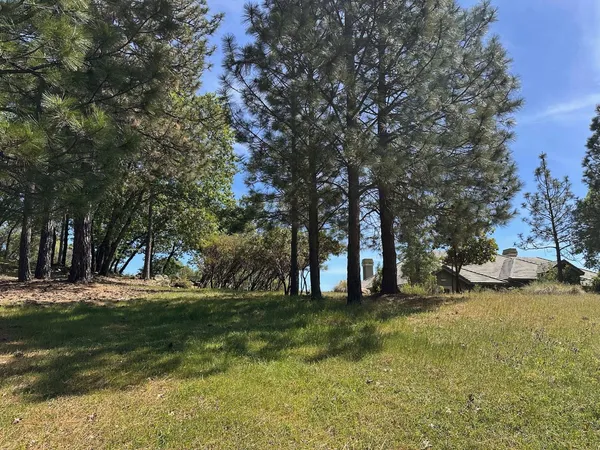 $475,000 | 1235 Forest View Drive, Meadow Vista, CA 95722