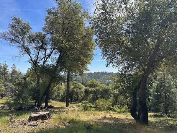 $475,000 | 1235 Forest View Drive, Meadow Vista, CA 95722