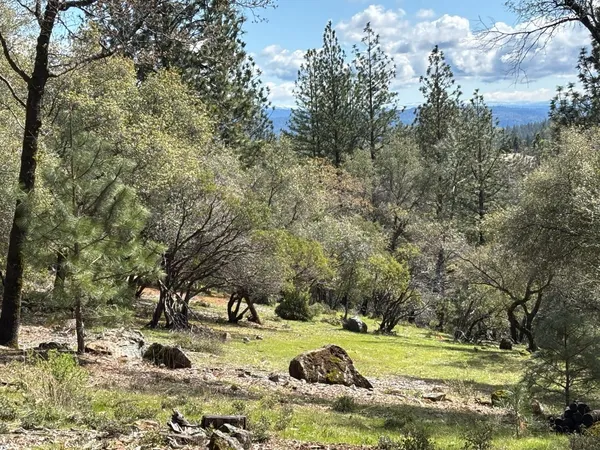 $475,000 | 1235 Forest View Drive, Meadow Vista, CA 95722