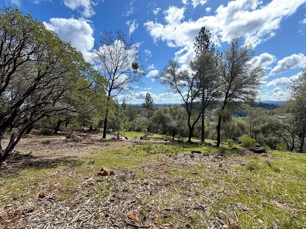 $475,000 | 1235 Forest View Drive, Meadow Vista, CA 95722