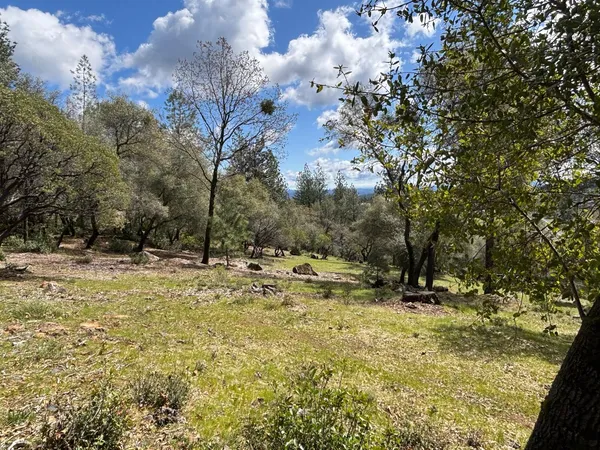 $475,000 | 1235 Forest View Drive, Meadow Vista, CA 95722