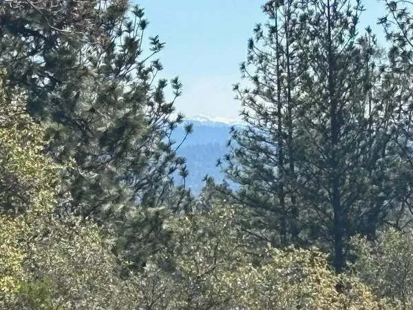 $475,000 | 1235 Forest View Drive, Meadow Vista, CA 95722