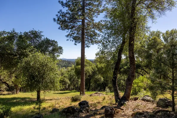 $475,000 | 1235 Forest View Drive, Meadow Vista, CA 95722