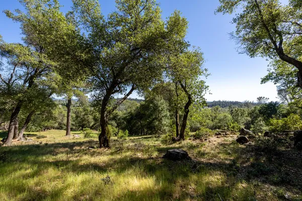 $475,000 | 1235 Forest View Drive, Meadow Vista, CA 95722