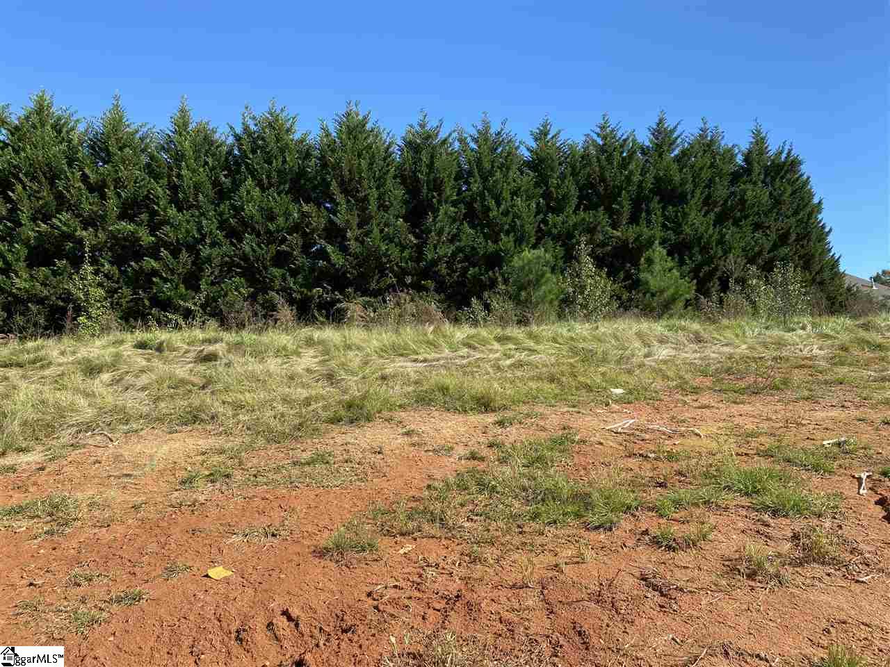 114 Tiger Pond Road Easley, SC 29642 - Photo 22 of 33 Gallery Image 22