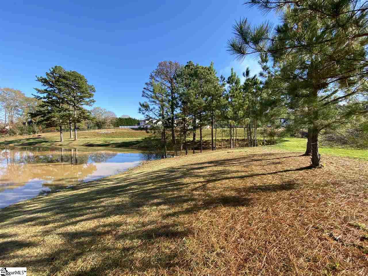 114 Tiger Pond Road Easley, SC 29642 - Photo 27 of 33 Gallery Image 27