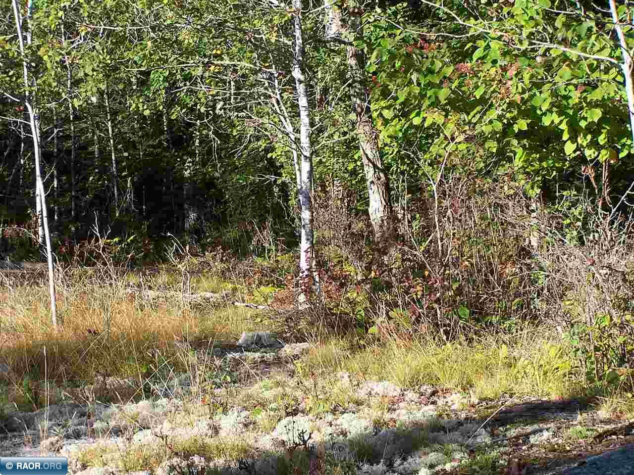 Tbd Burma Road Kabetogama, MN 56669 - Photo 11 of 15 Gallery Image 11