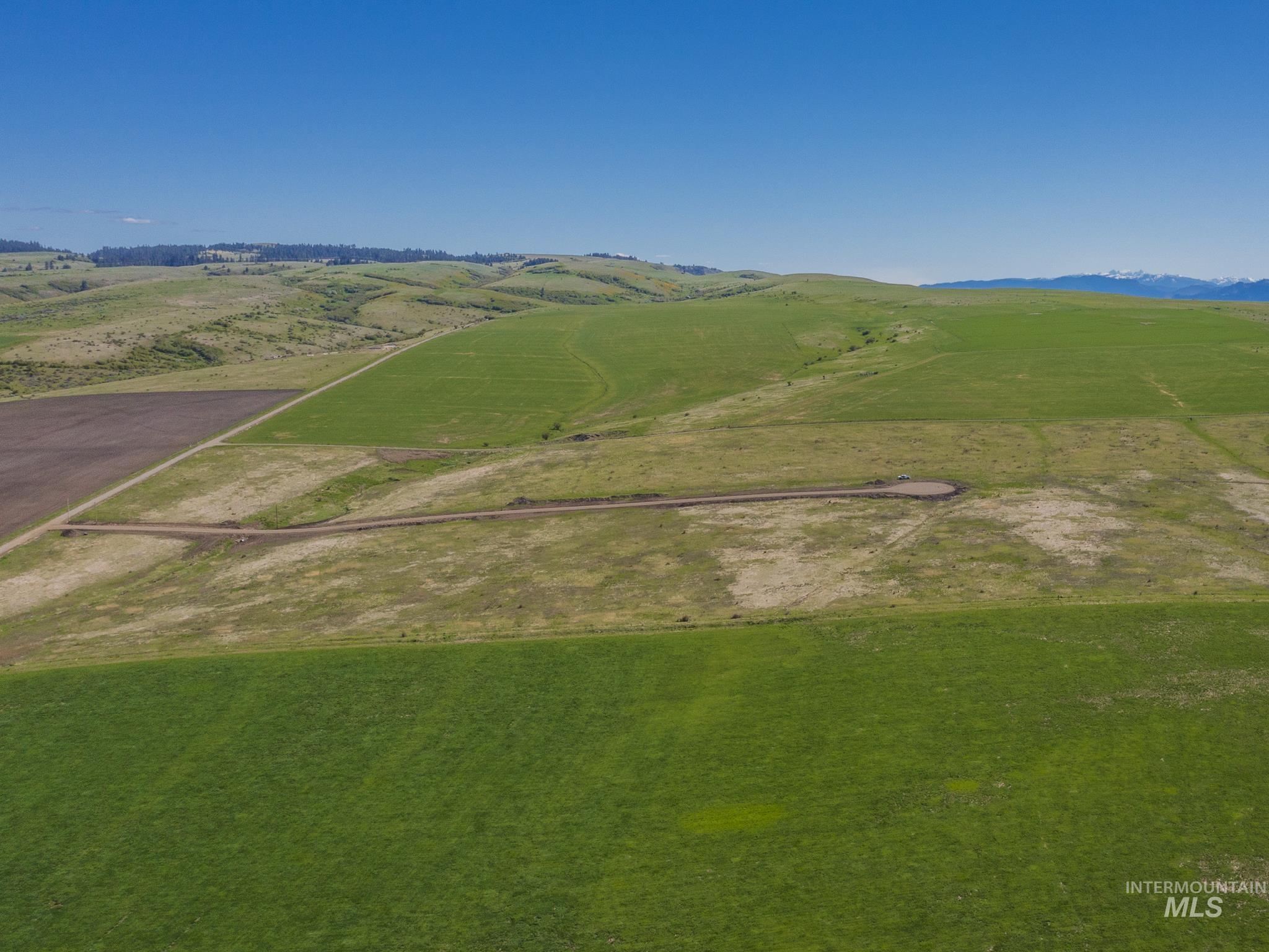 3 Freebird Way Grangeville, ID 83530 - Photo 15 of 43 Overview of rural landscape featuring a mountain backdrop