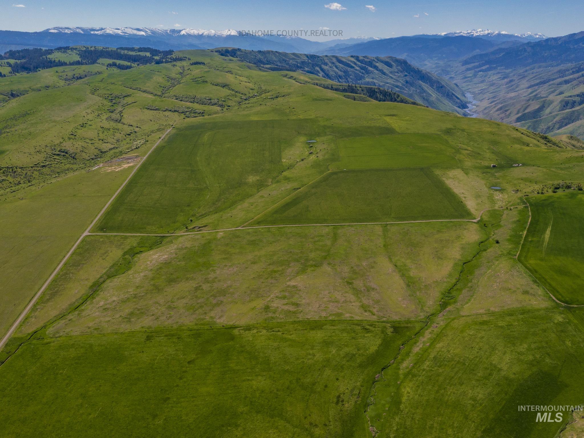 3 Freebird Way Grangeville, ID 83530 - Photo 20 of 43 Overview of rural landscape with a mountain backdrop