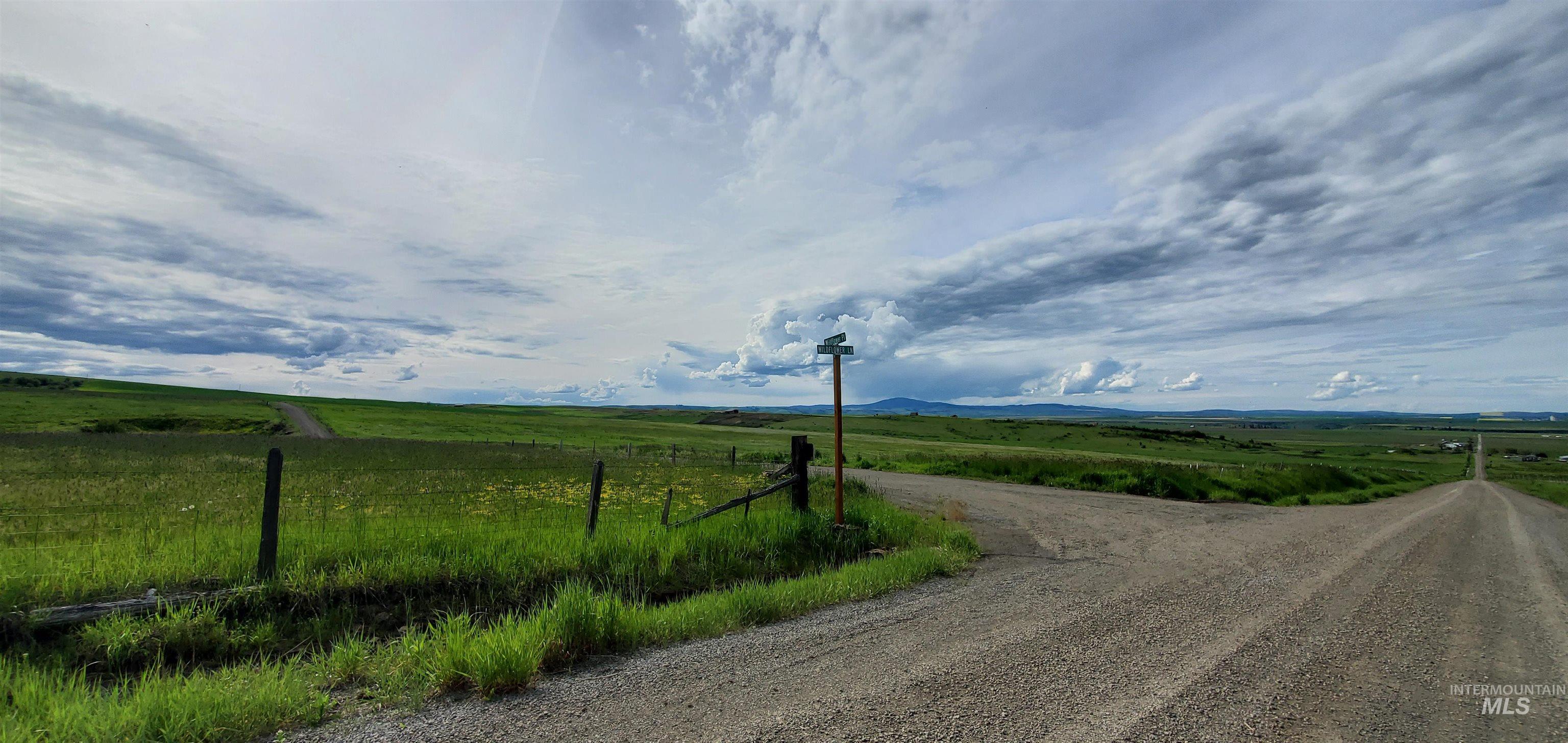 3 Freebird Way Grangeville, ID 83530 - Photo 24 of 43 View of dirt / gravel road featuring a view of rural / pastoral area