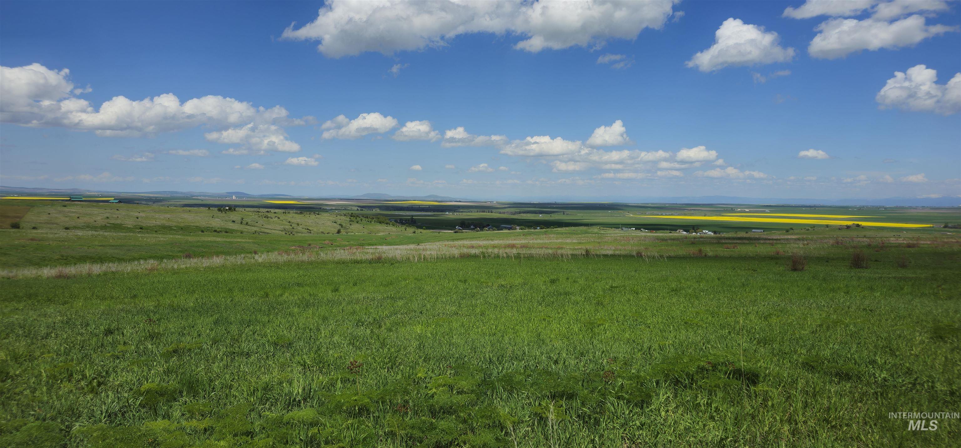 3 Freebird Way Grangeville, ID 83530 - Photo 27 of 43 View of yard with a view of rural / pastoral area