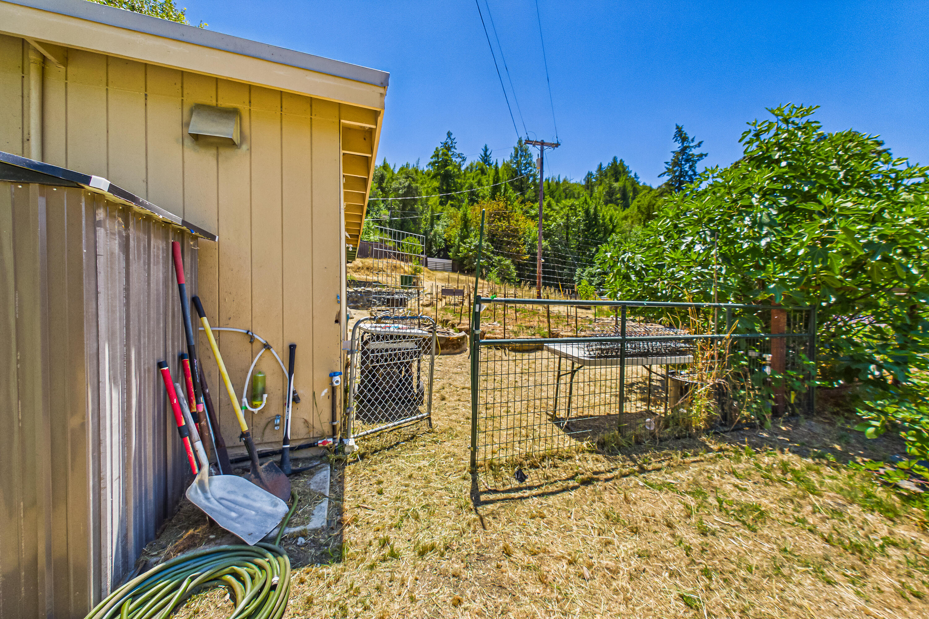 1250 Zenia Bluff Road Alderpoint, CA 95511 - Photo 59 of 73