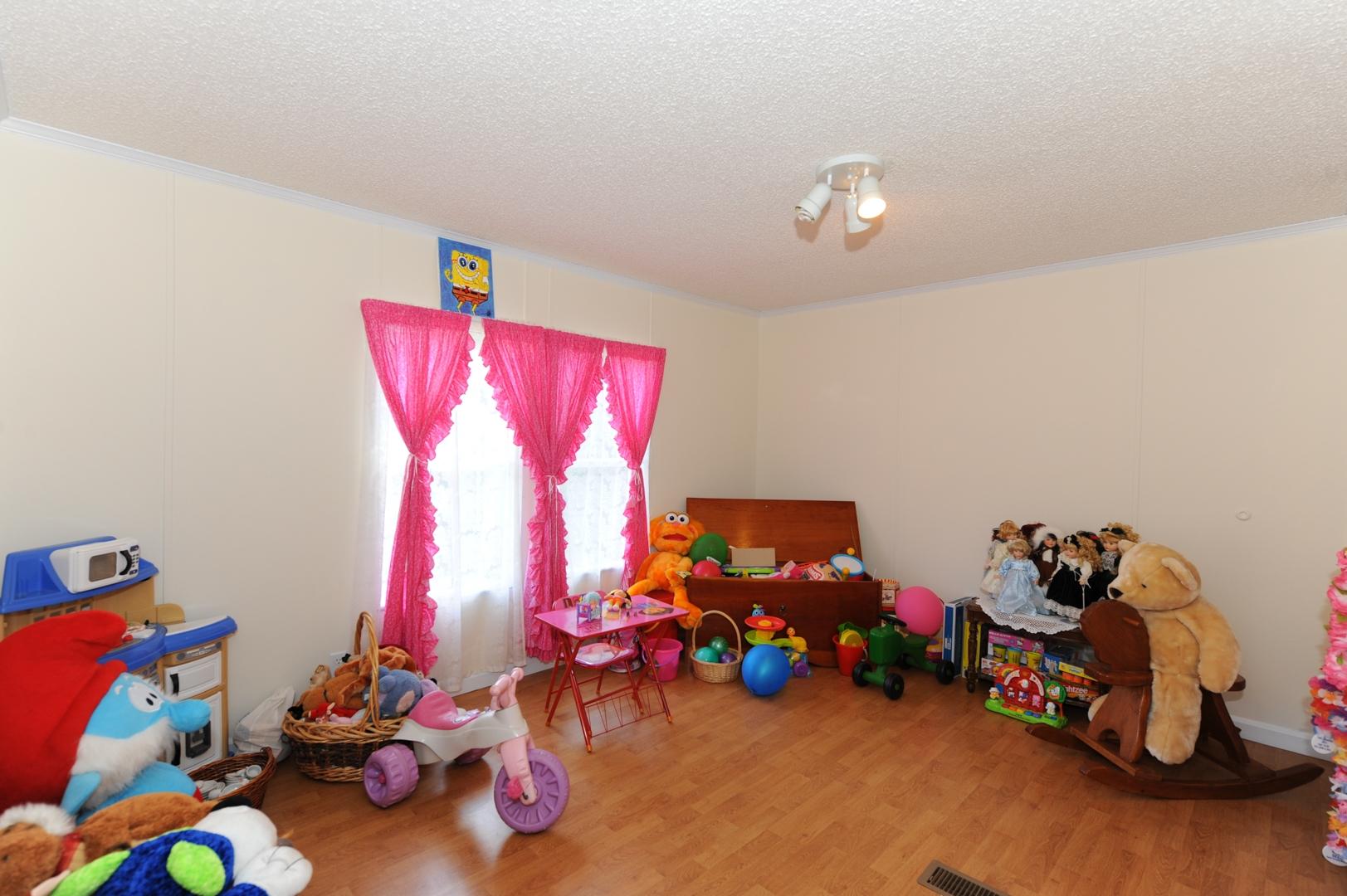 906 South Shiloh Road Seymour, TN 37865 - Photo 14 of 32 Grandbaby room Bedroom #3